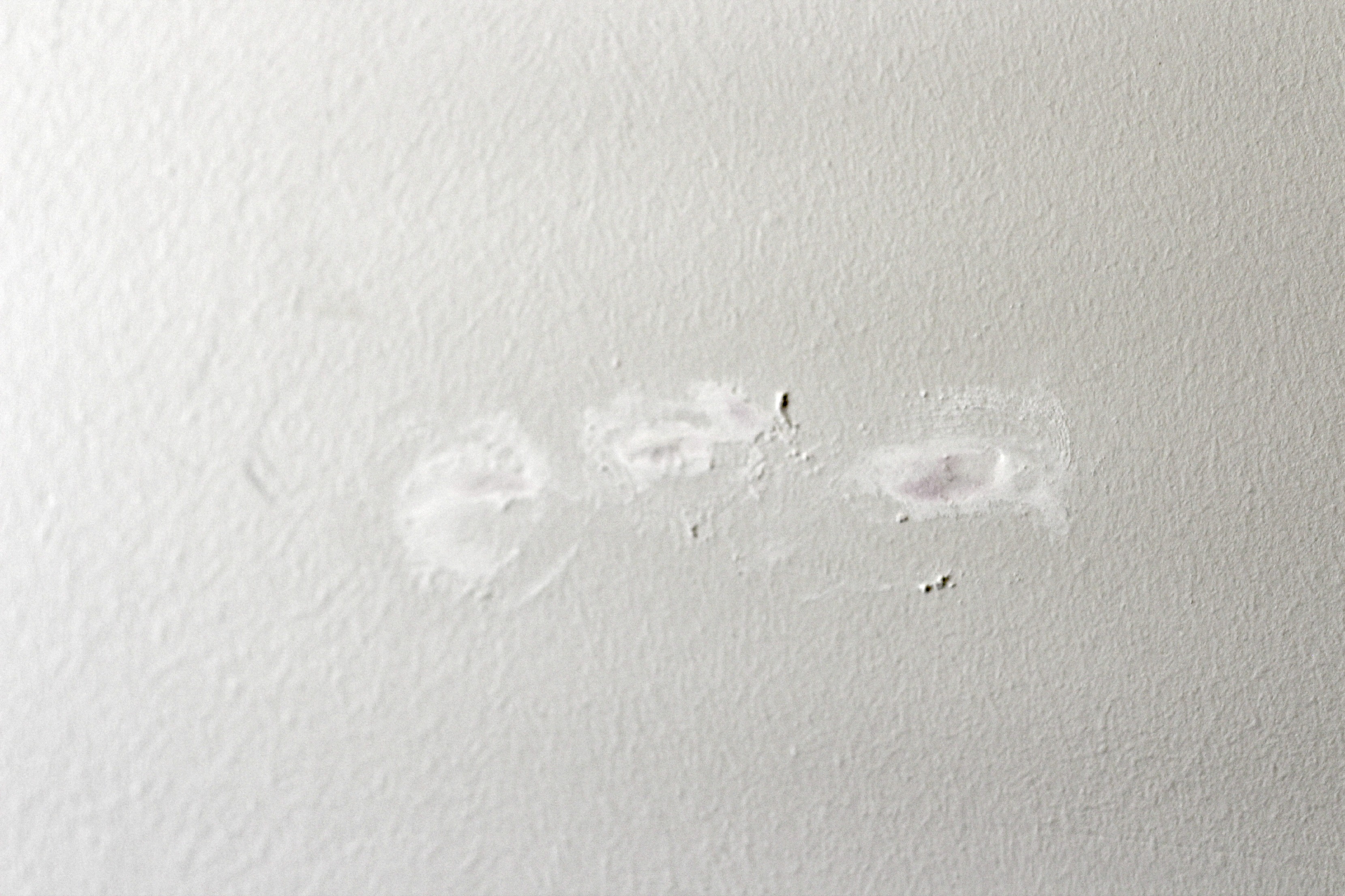 Removing a Wallpaper Border Organize and Decorate Everything