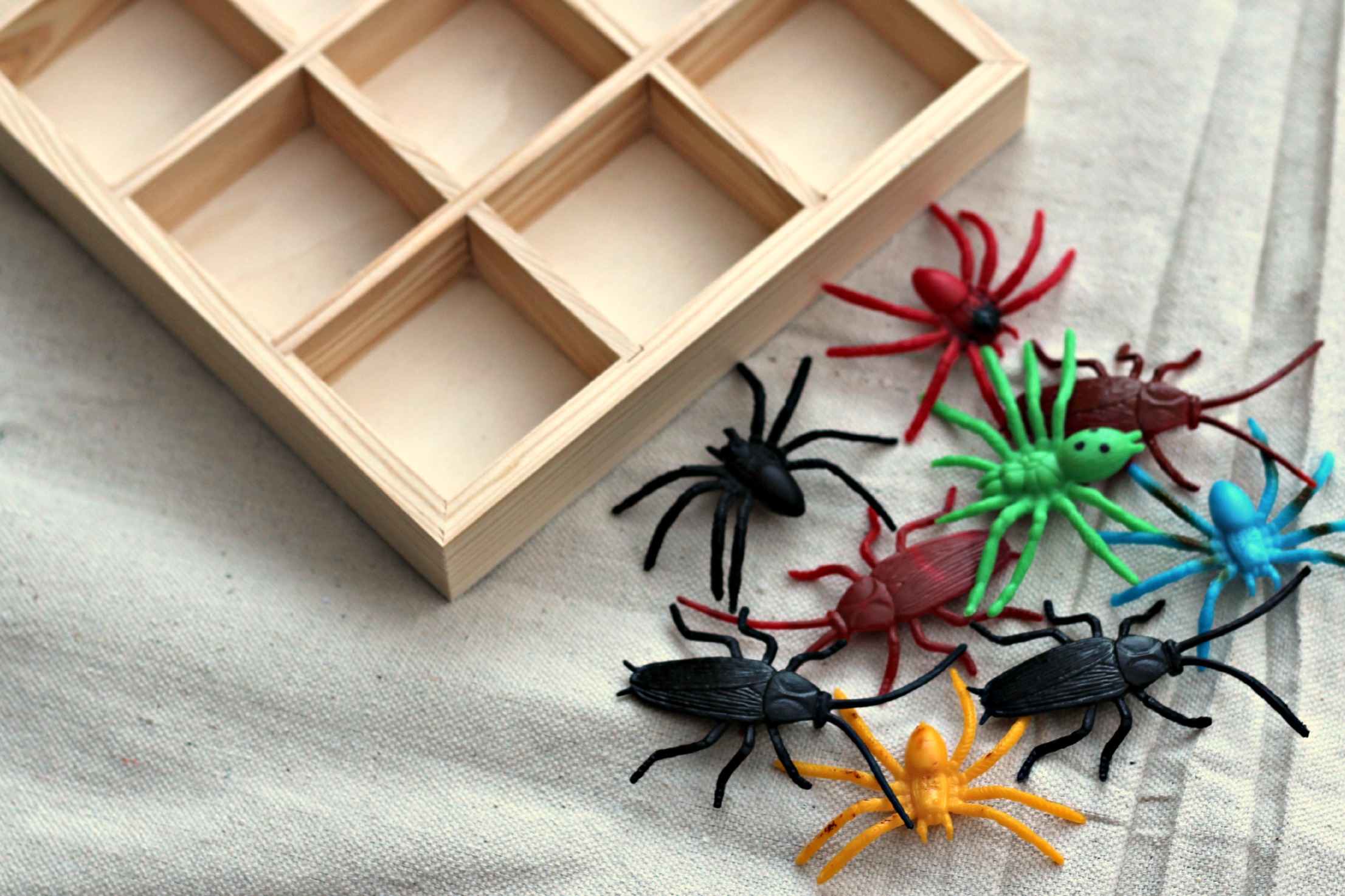 Bug Tic-Tac-Toe - Organize and Decorate Everything