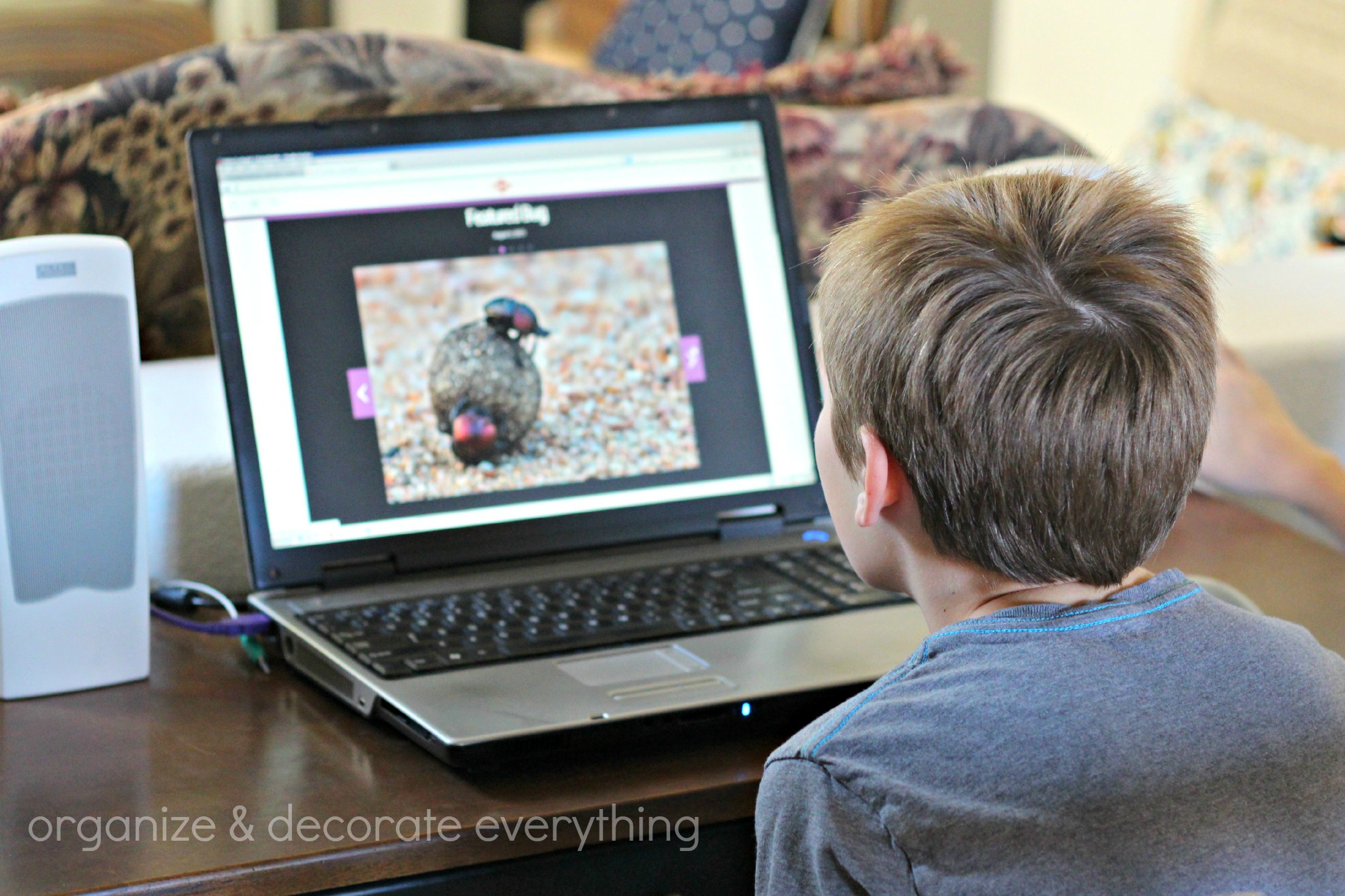 Bug Tic-Tac-Toe - Organize and Decorate Everything