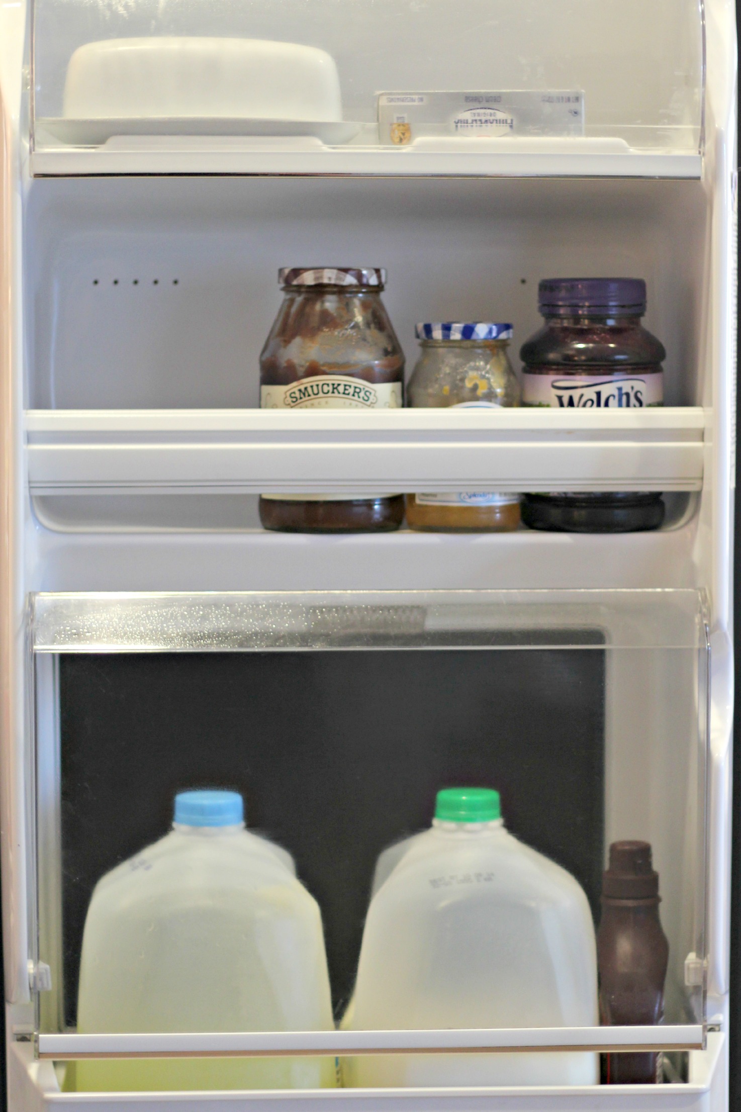 Top Organizing Bloggers Kitchen Tour Fridge and Freezer Organize