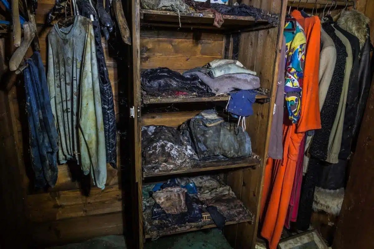 Can I Fold Damp Clothes? (An Organizer Explains) Organizing.TV