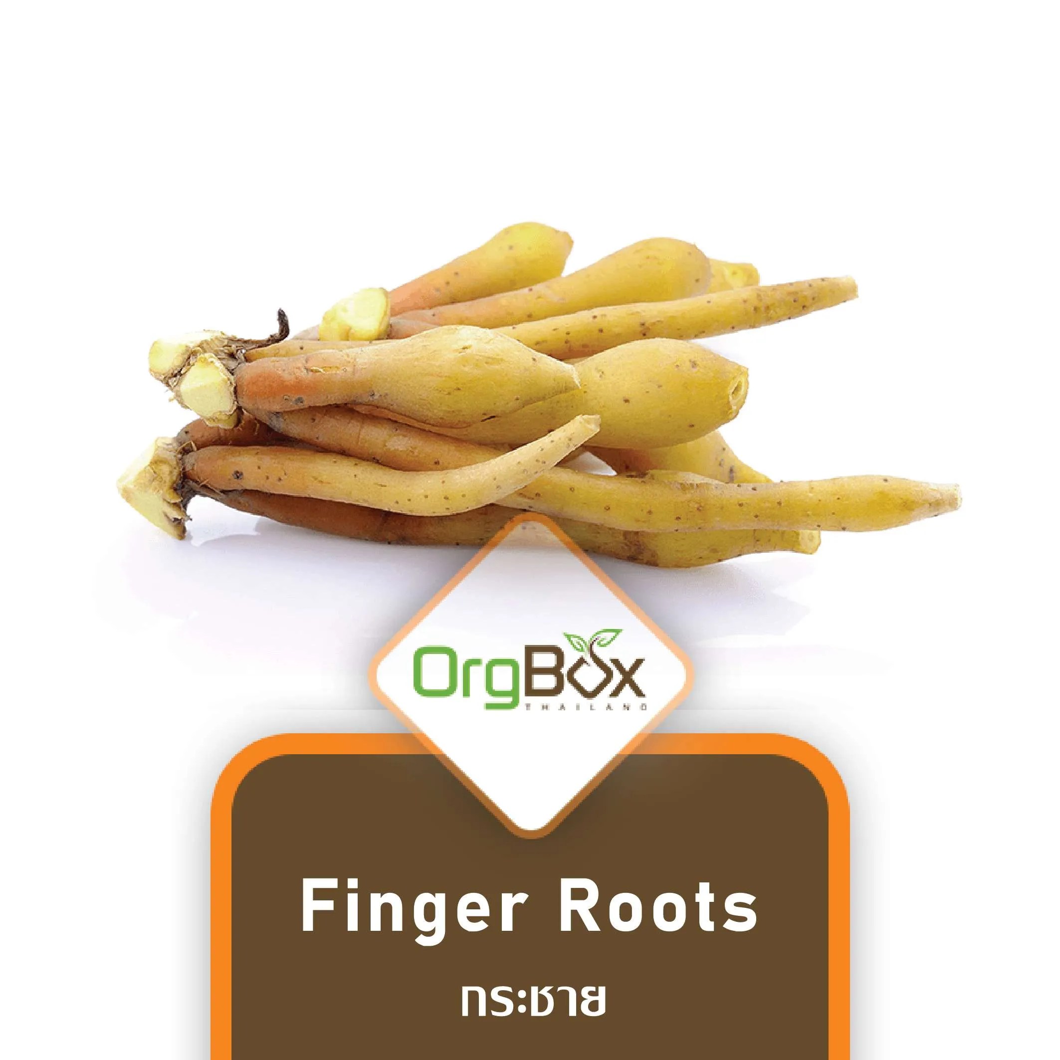 Organic Finger Roots (กระชาย) 200 g. OrgBox Thailand