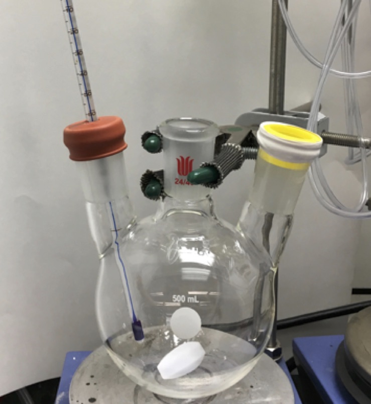 Organic Syntheses Procedure