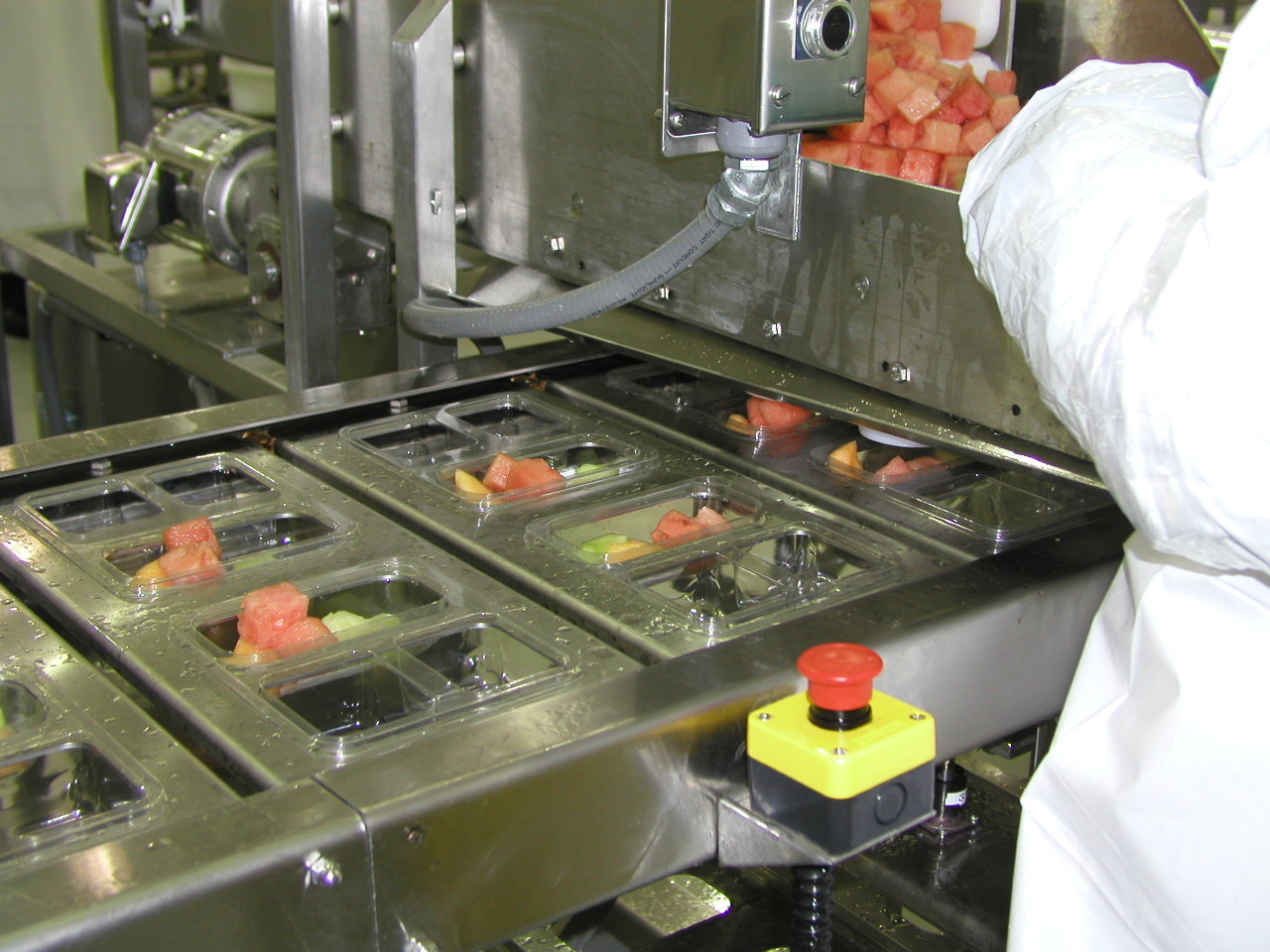 Fresh Fruit Packaging Machine ORICS Automated Filling and Sealing