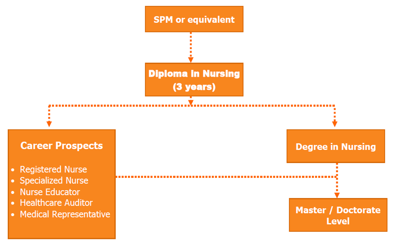Diploma in Nursing Oriental Nilam