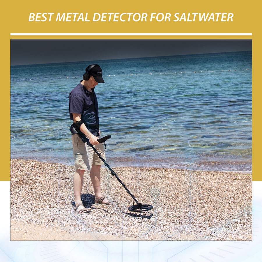 Best Metal Detector for Saltwater Gold Detectors 2024 Latest and
