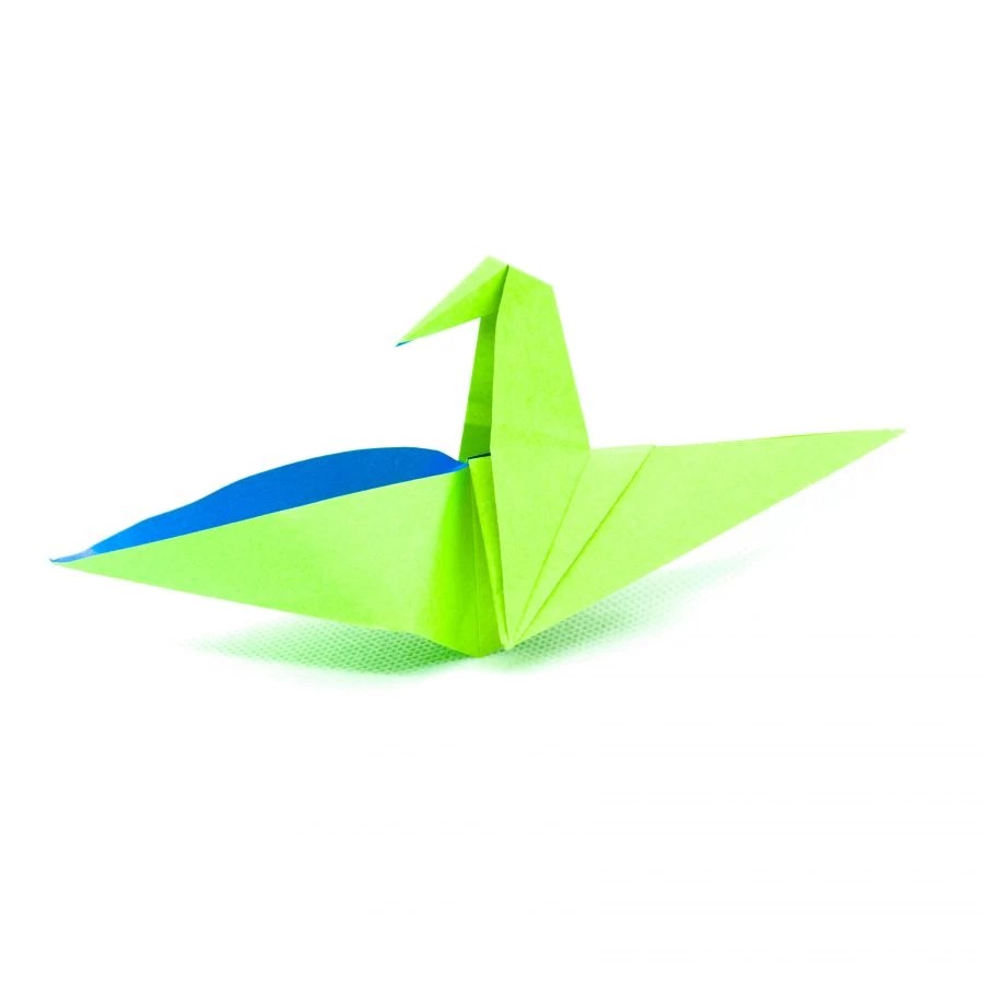 Kiwi Origami Database