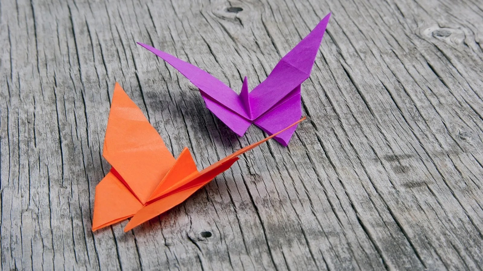 How to Make an Easy Origami Butterfly The Traditional Origami Butterfly