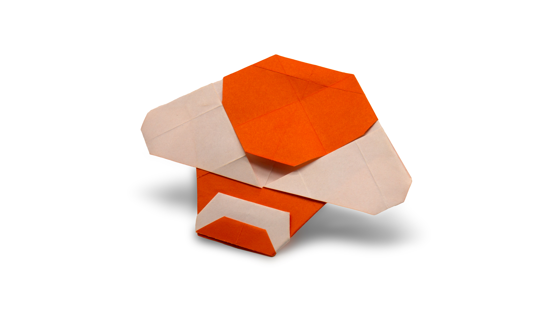 Pure and Simple Origami Book Review Origami Expressions