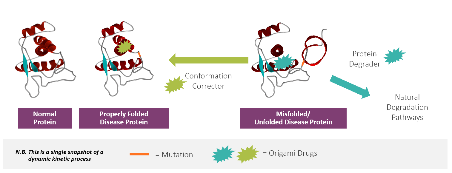 Protein Degradation Origami Therapeutics