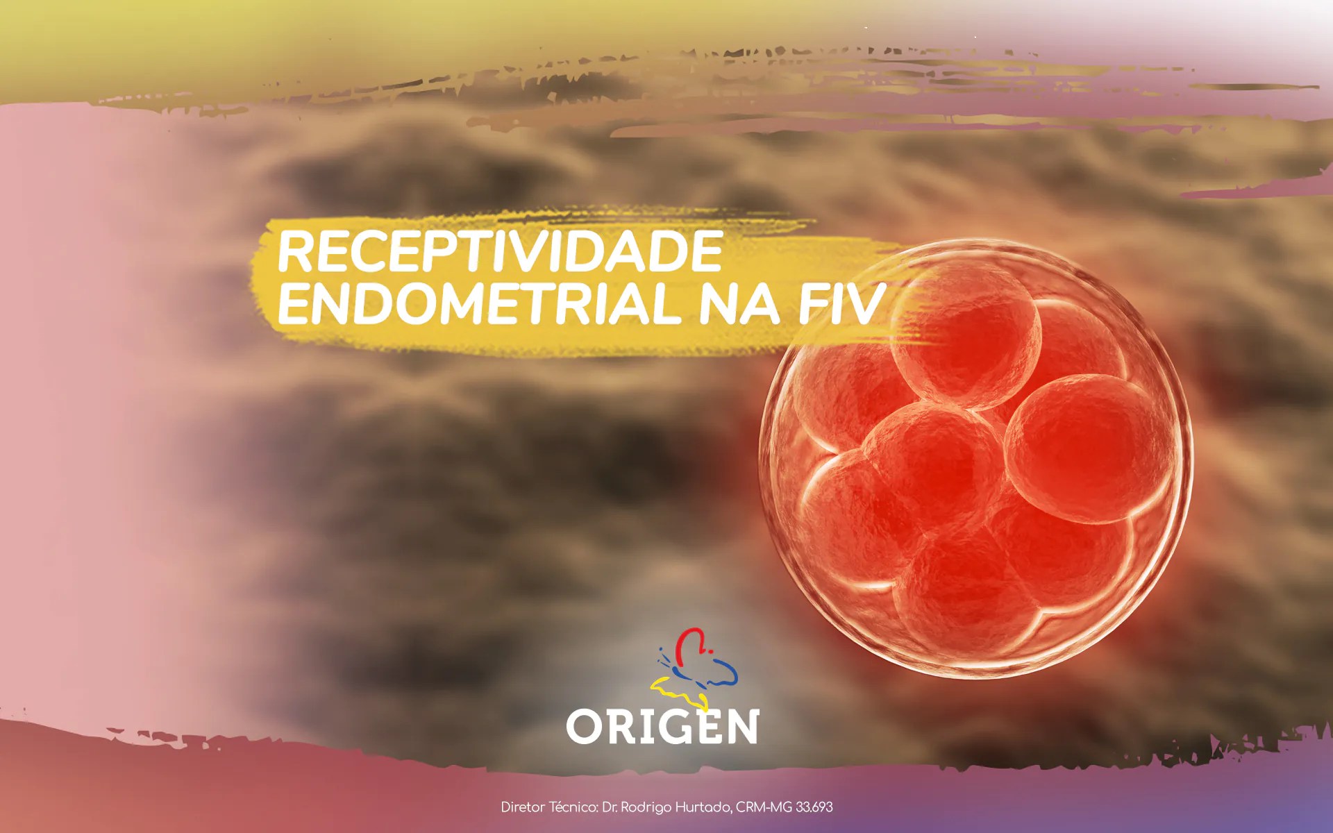 » Receptividade endometrial na FIV