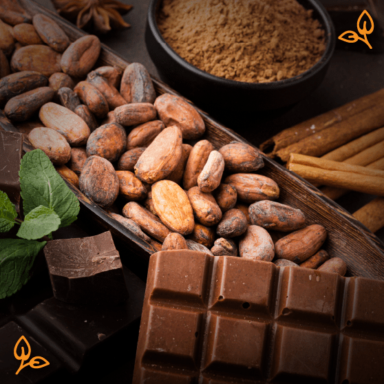 Chocolates Ecuador Comprar Chocolate Online OrigenEcuador