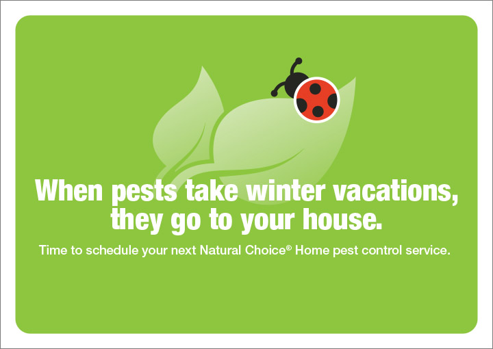 Anderson Pest Solutions in Chicago , IL YP.com