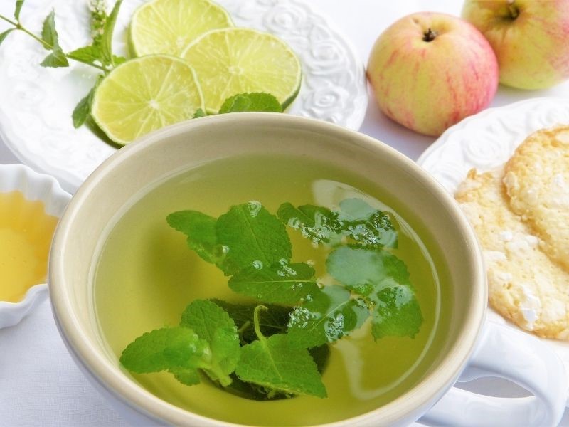 Benefits of Lemon Balm Tea