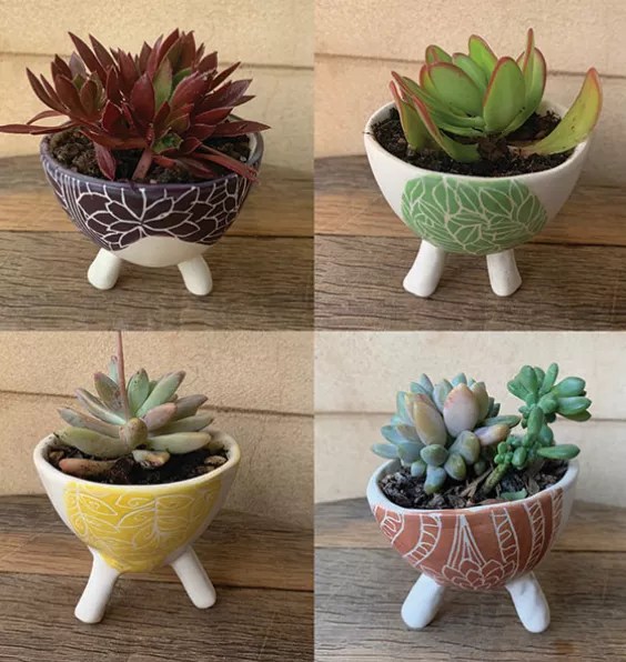 Ceramic Succulent Pots Originally Nic