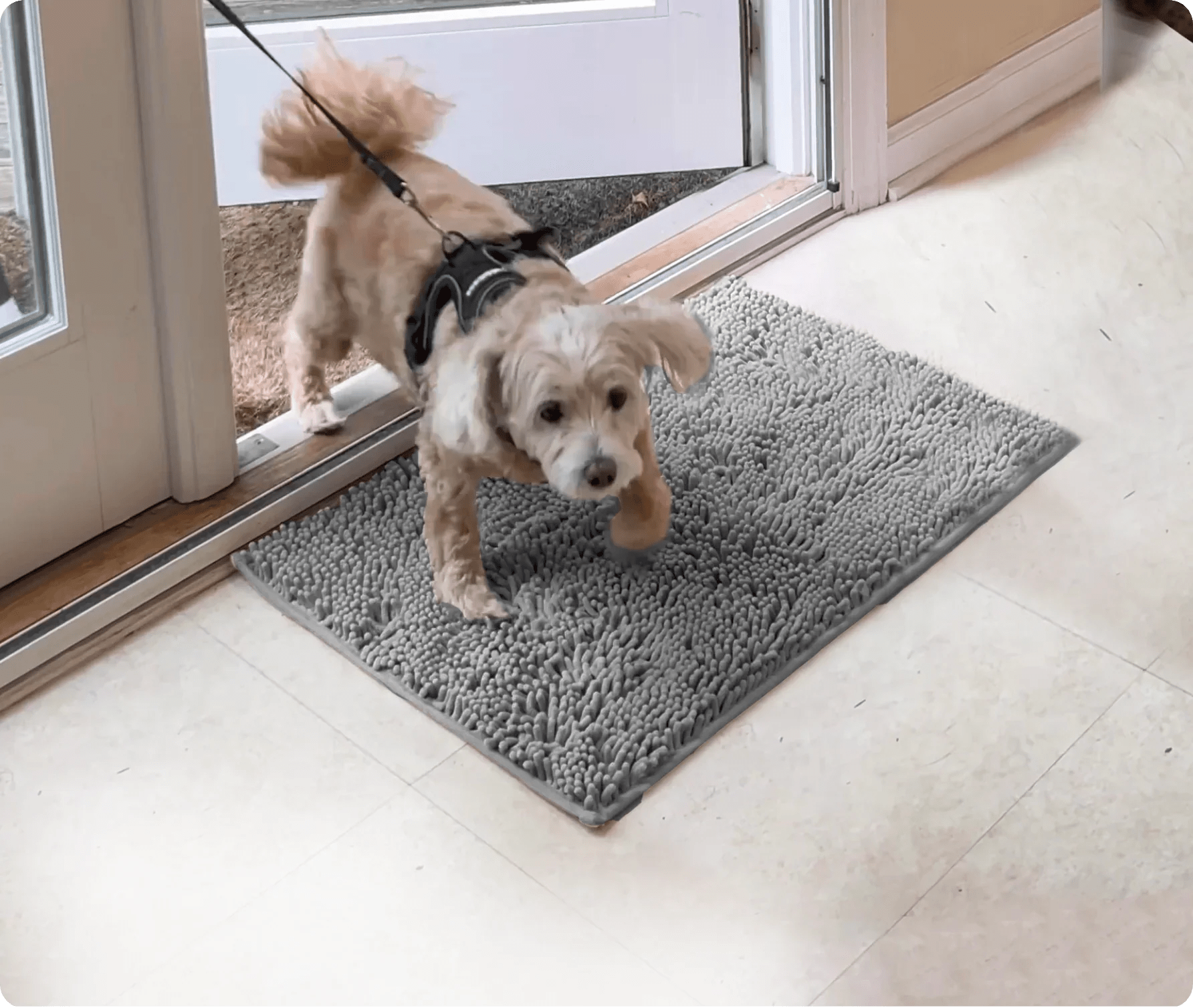 Dog Mat, Dog Door Mat Muddy Mat®