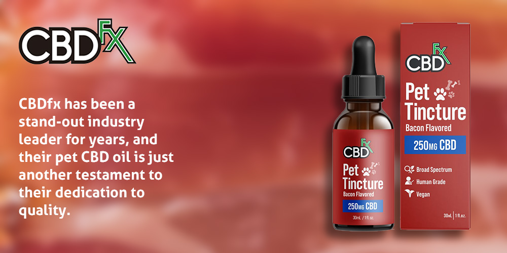 Can Humans And Dogs Take Same Cbd Oil