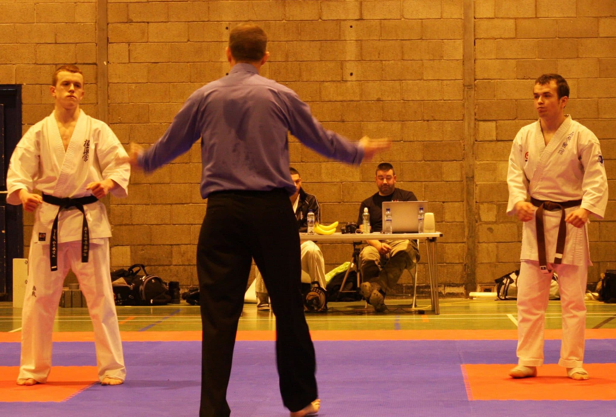 karatechopstutorial Origin Fighter