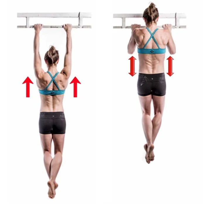 50 Pull Up Variations to Build Strength and Muscles Origin Of Idea