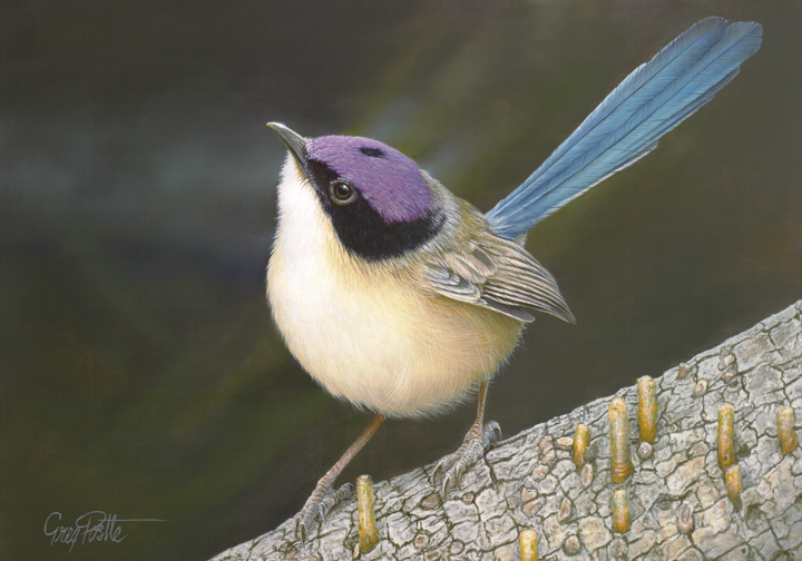 Greg Postle Dapper Origin Publishing