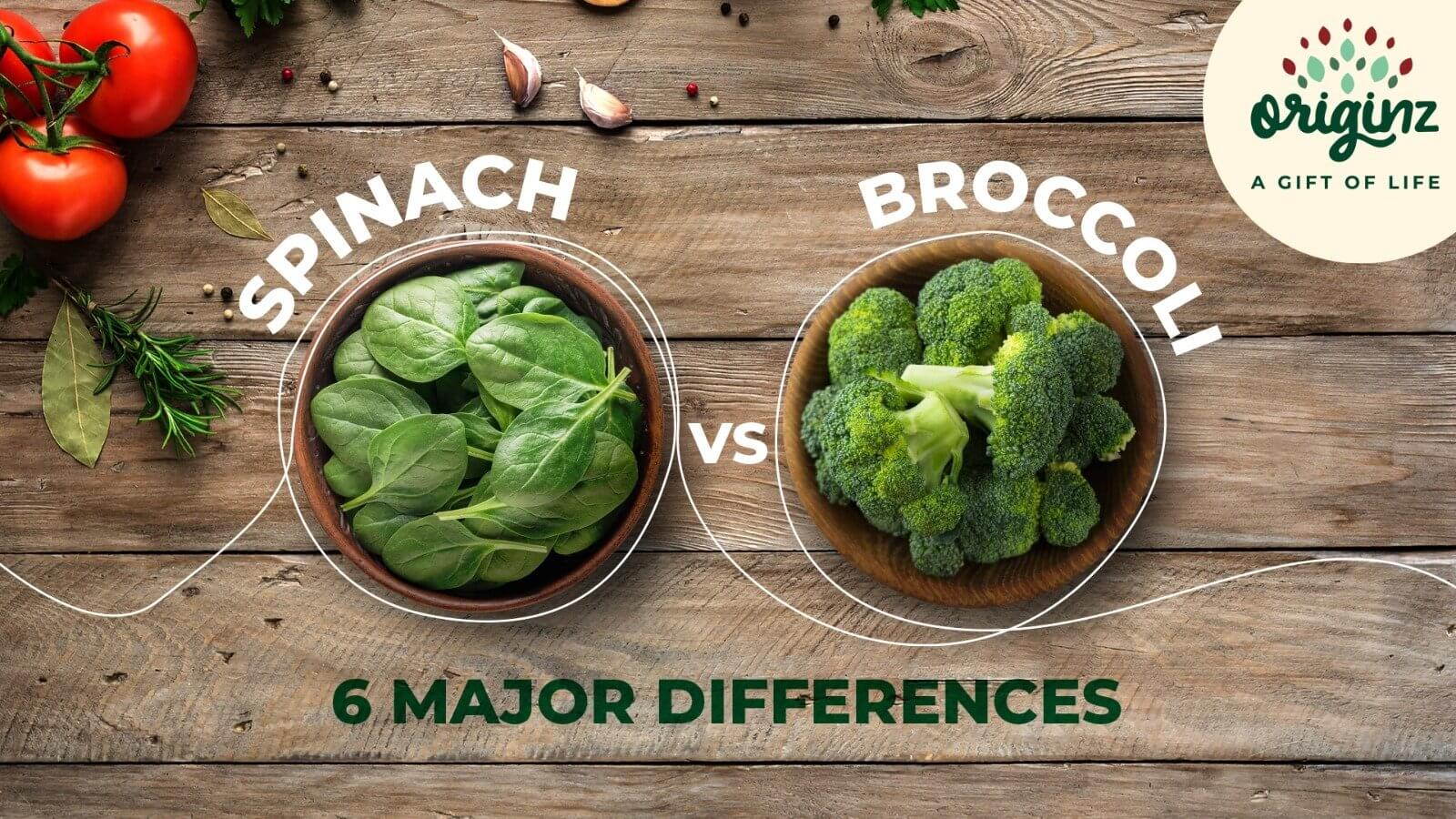 Read Out Your Favorite Blogs Originz