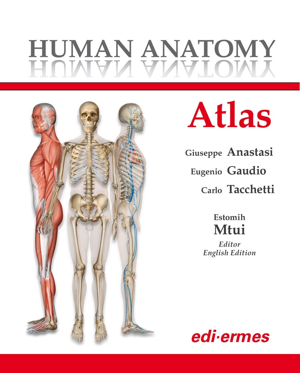 Álbumes 101+ Foto Atlas Of Human Anatomy And Surgery Cena Hermosa