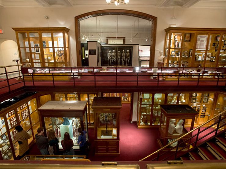 12 Creepy Exhibits at the Mütter Museum of Medical Oddities