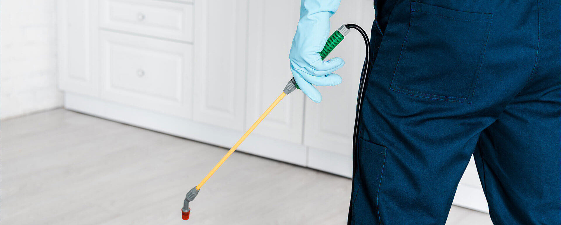 Best Pest Control Services in Abu Dhabi and Dubai