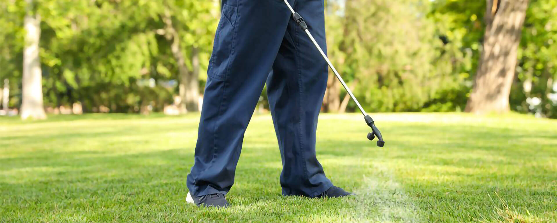 Best Pest Control Services in Abu Dhabi and Dubai