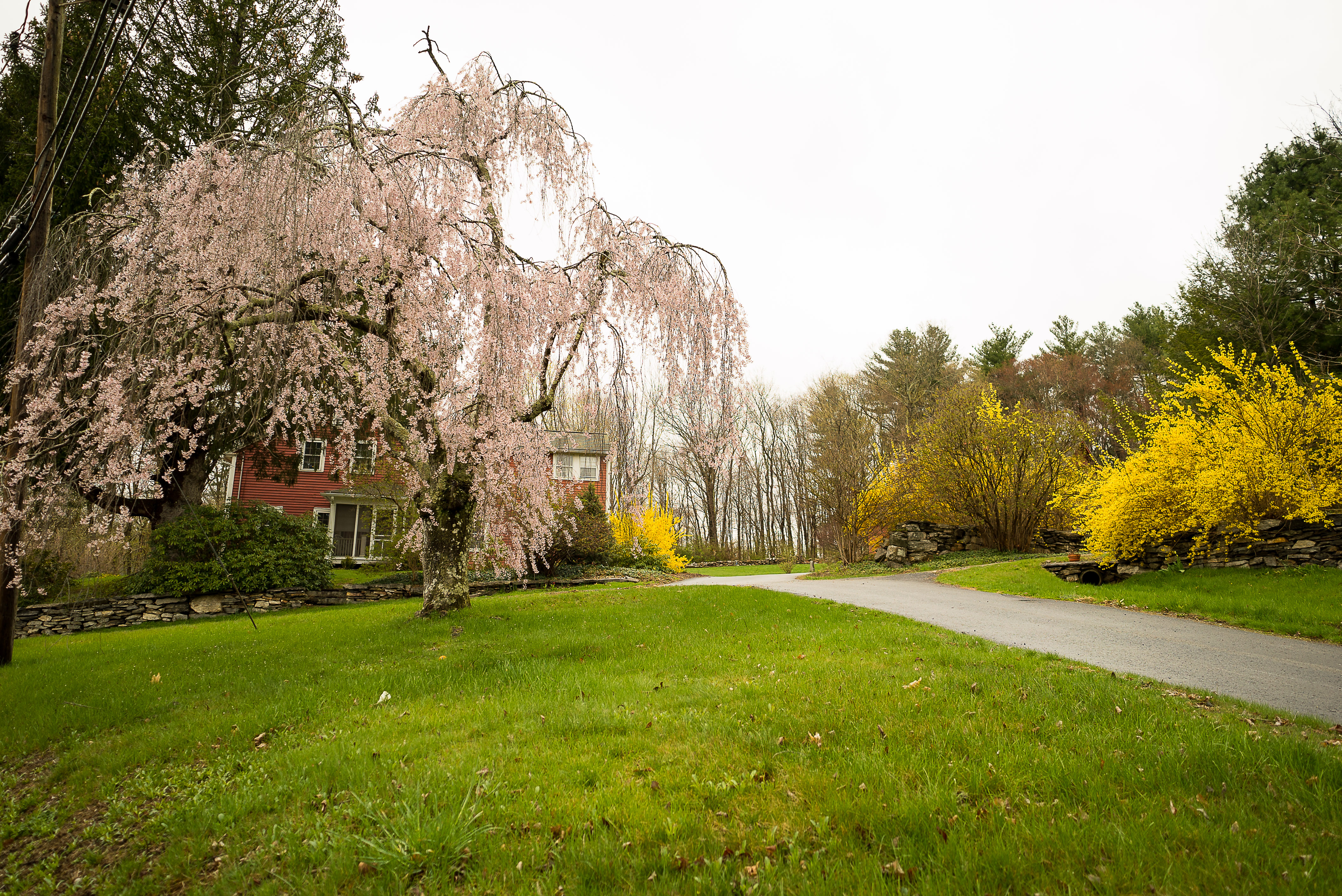 New England Spring Orion's Cold Fire