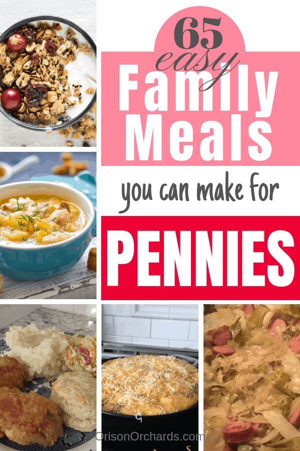 65 Cheap Family Meals for Pennies Orison Orchards