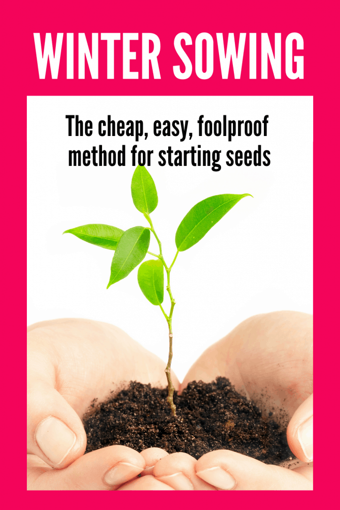 Winter Sowing (the easy way to start garden seeds) Orison Orchards