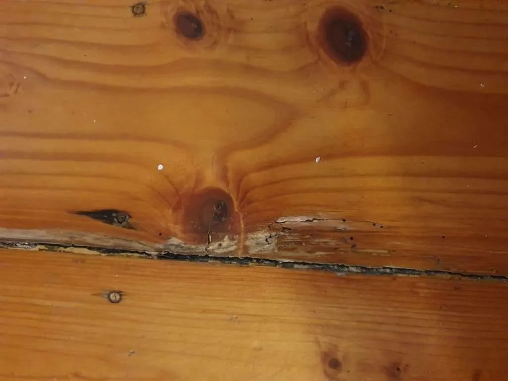 Subfloor Replacement How Much Does It Cost To Repair Or Replace Floor