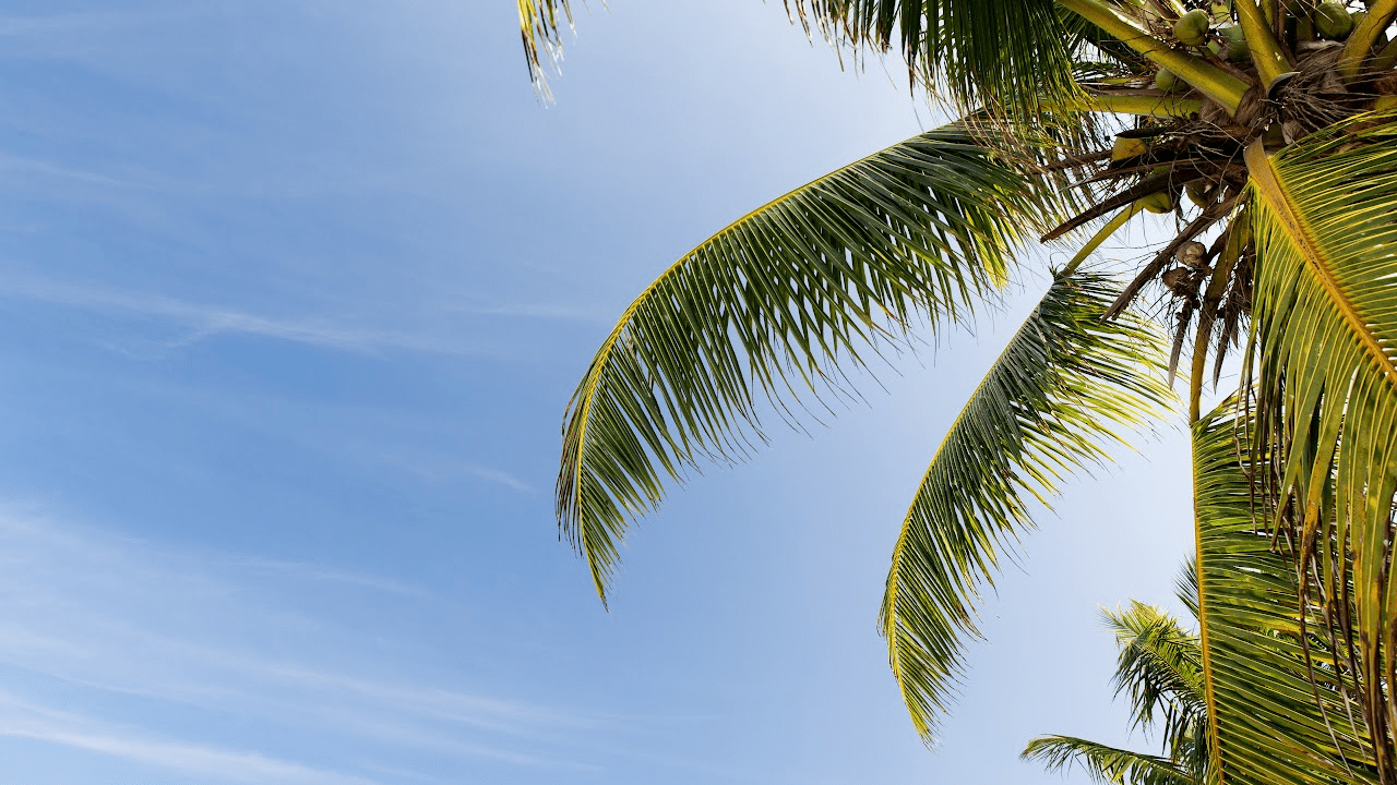 What is the Best Month to Go to Orlando Florida? Orlando Deals