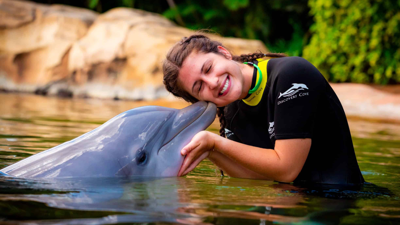 How Much Does The Cove Cost at Mae Williams blog