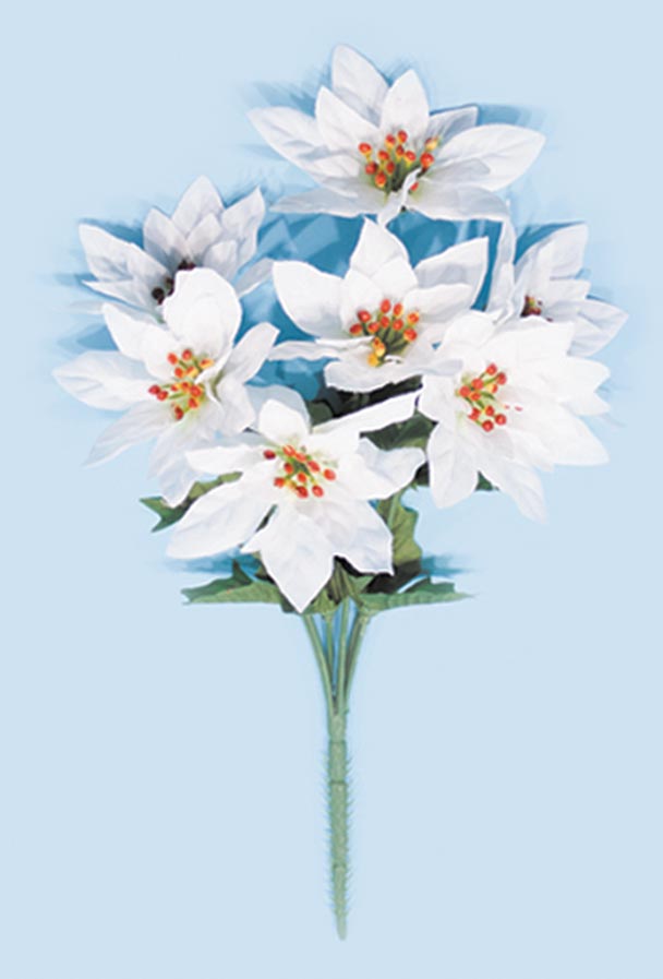 White Silk Poinsettia Bush Orman Inc.