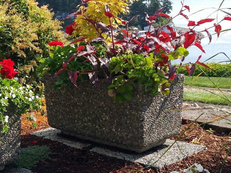 Rectangular Concrete Planters Ornamental Stone