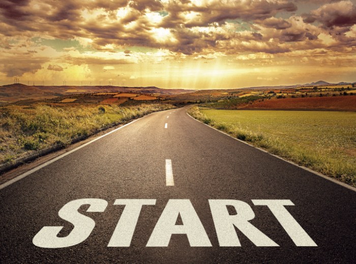 Start csoport – Örökbe.hu How to start a pet insurance company