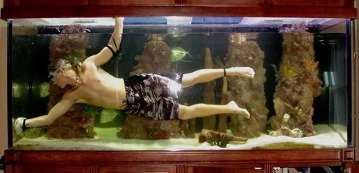 10 TIPS to Stop Nuisance Algae Growth • Orphek Reef Aquarium LED Lighting