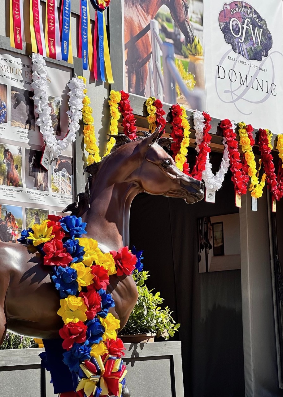 2023 Scottsdale Arabian Horse Show Results Orrion Farms