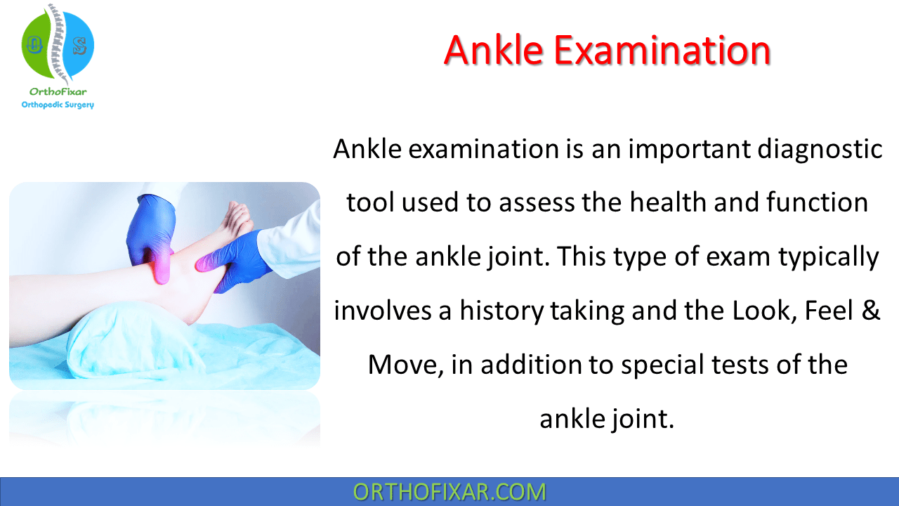 Ankle Examination Easy Explained OrthoFixar 2024