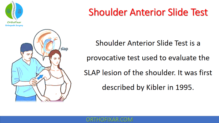 Ulnar-sided Wrist Pain: Systematic Clinical Approach and Principles of ... 1923 season 2 how many episodes