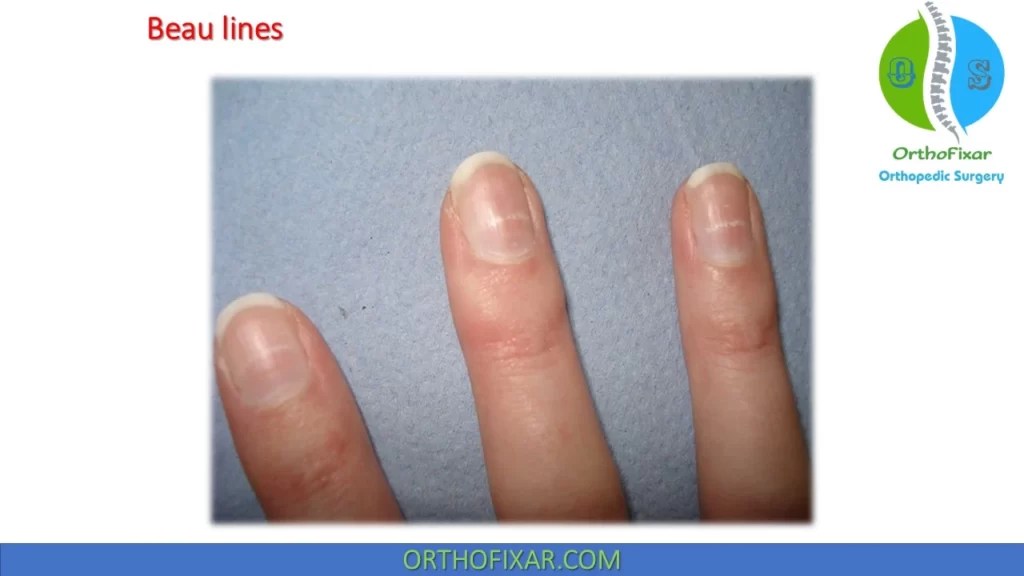 Details more than 130 claws nail salon kandivali latest noithatsi.vn