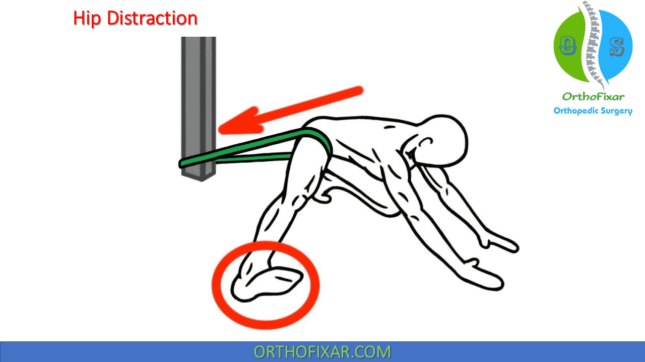 Hip Mobility Exercises OrthoFixar 2024
