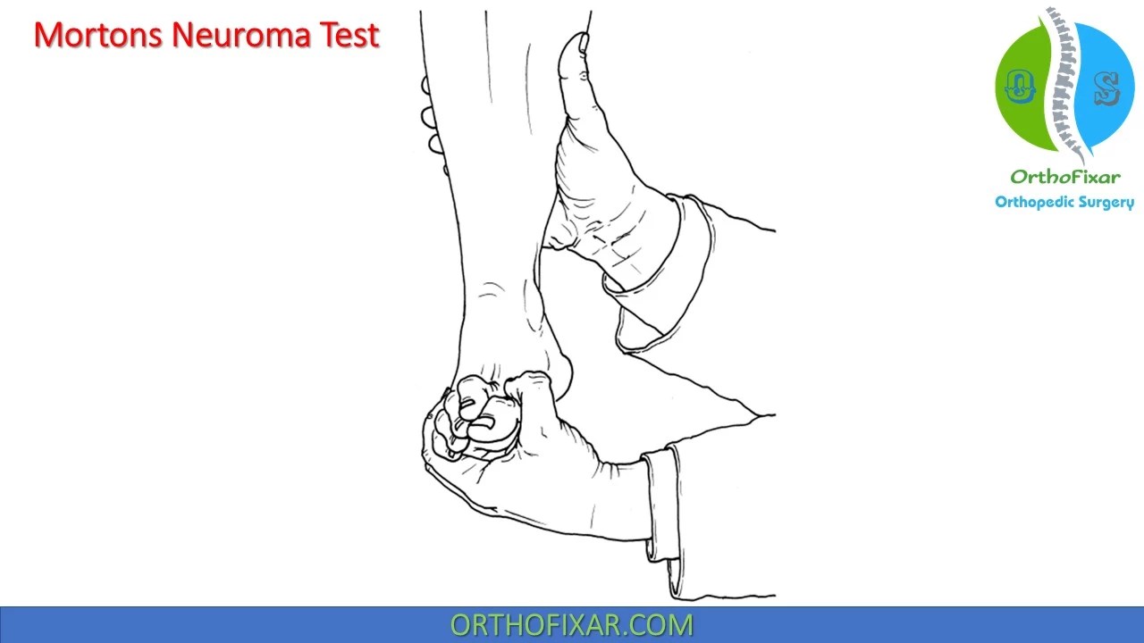 Aggregate more than 146 mortons shoes super hot kenmei.edu.vn