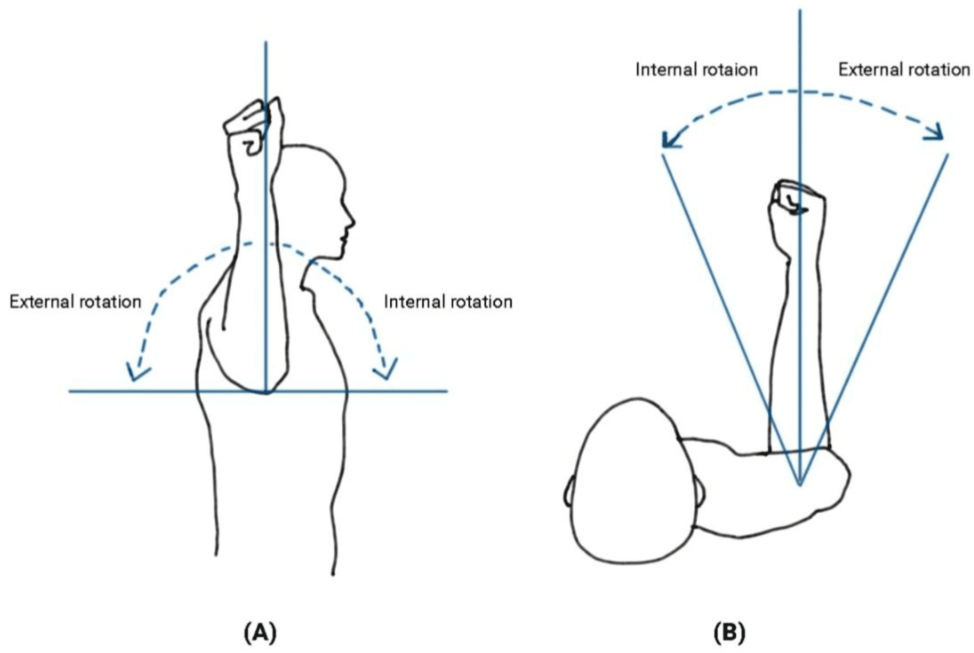 Ortho Globe Scapular stabilisation and rotator cuff strengthening