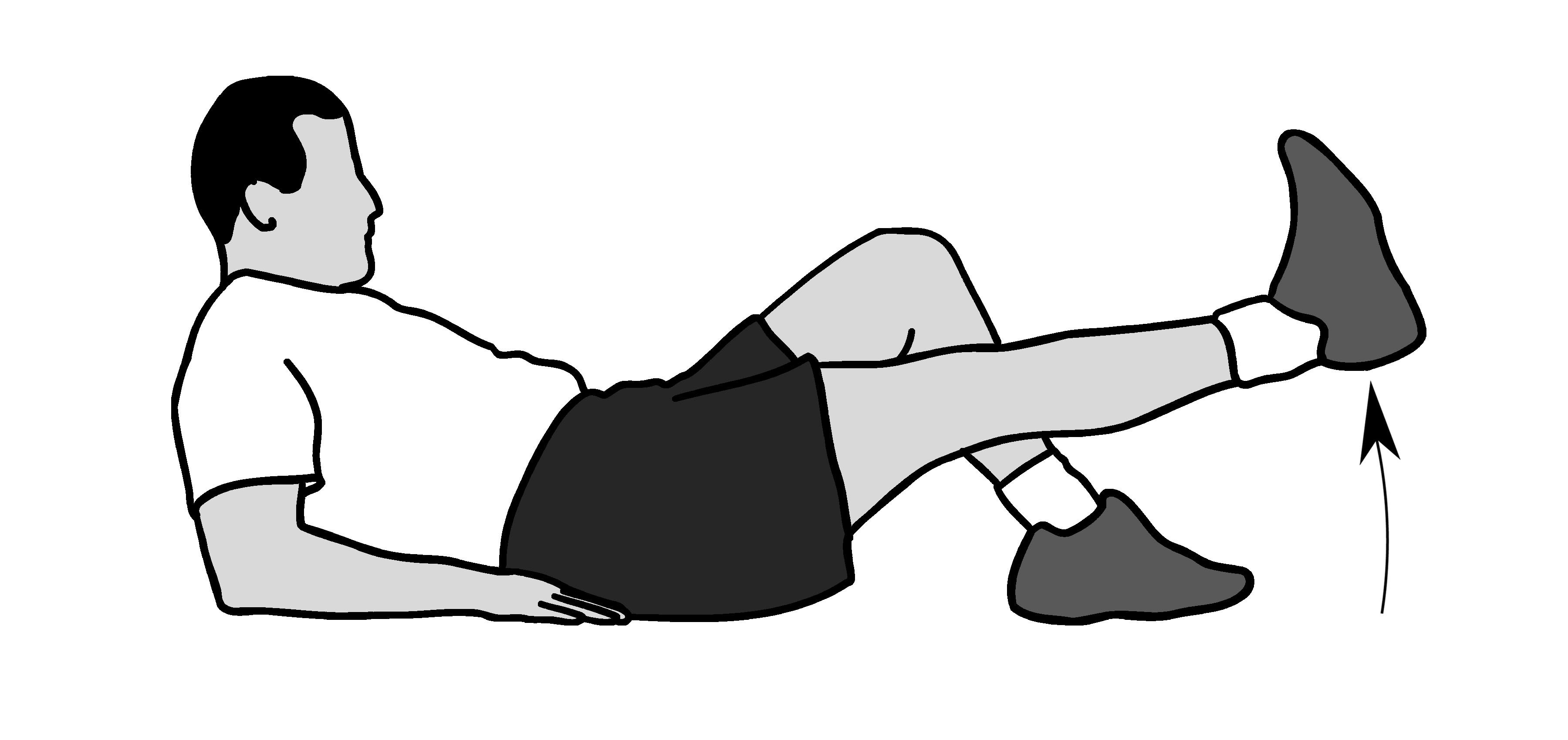 Knee Conditioning Program OrthoInfo AAOS