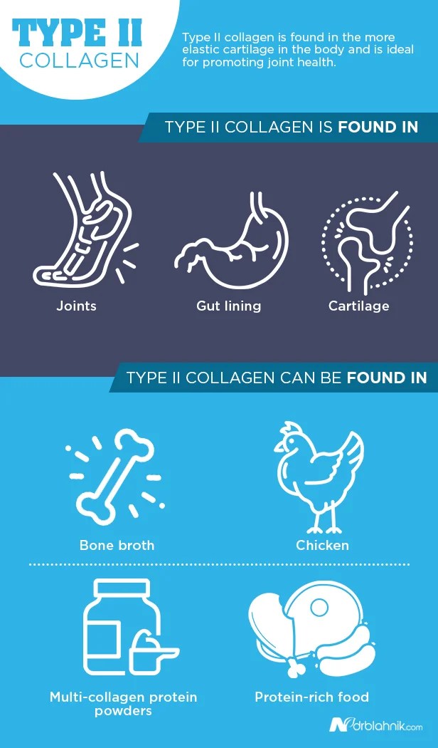 How Many Types of Collagen Are There and What Are They?