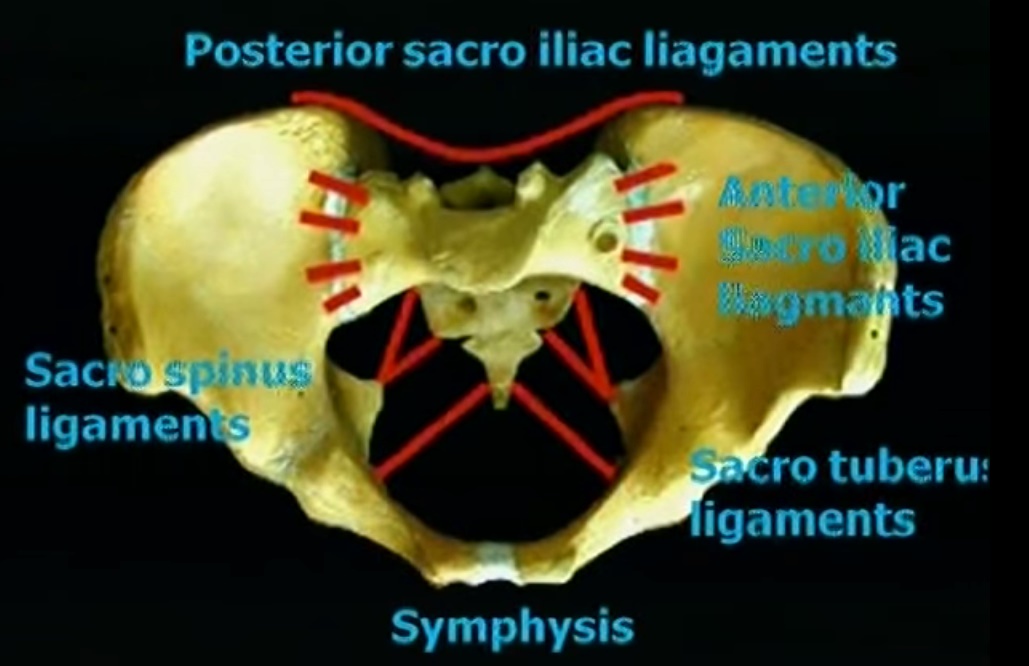 Posterior Pelvic Ring fixation —