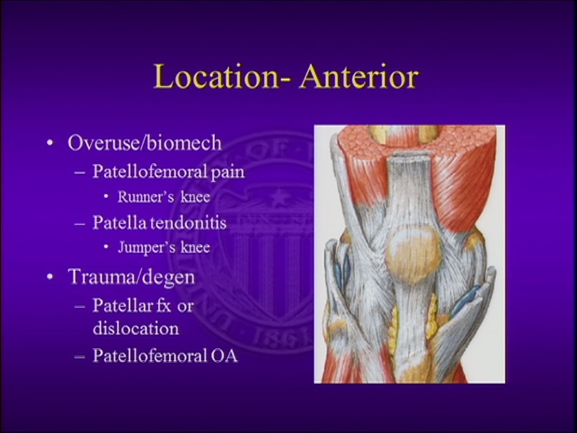 Sports Related Knee Injuries —